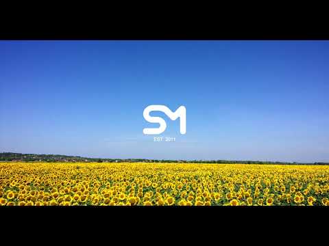 zach farache - sunflower