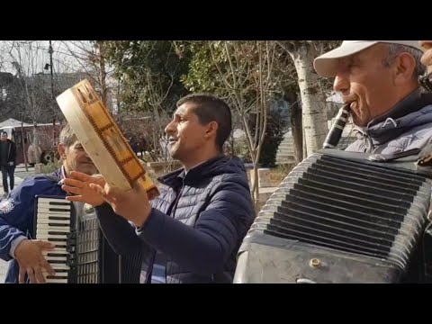 artistet e rruges zani razies miri beni mali kenge dhe valle nga trevat shqipetare