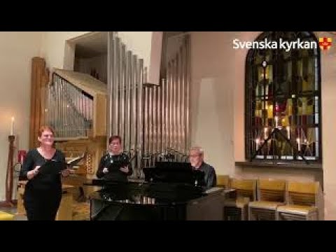 Julens önskesånger -Nu tändas tusen juleljus