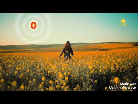 Tallivi tandrivi neeve kadha!! తల్లివి తండ్రివి నీవే కదా!!Bramhakumaris telugu songs