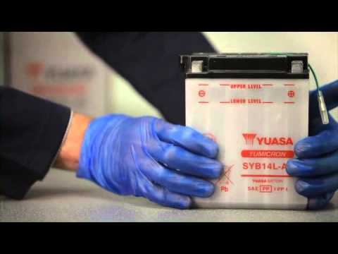YUASA-Battery Charging