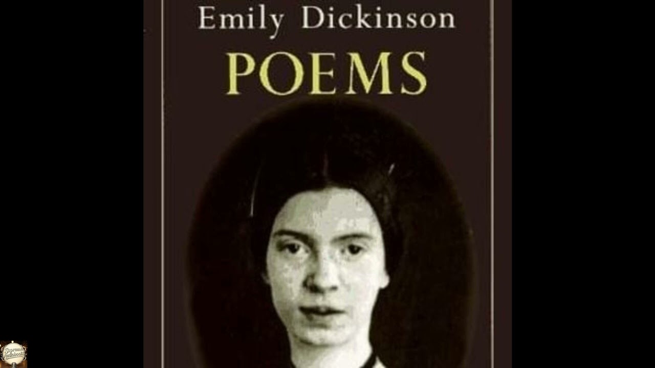 New feet within my garden go