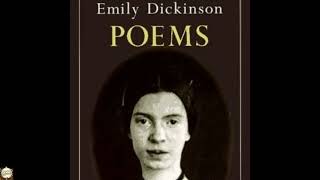 New feet within my garden go