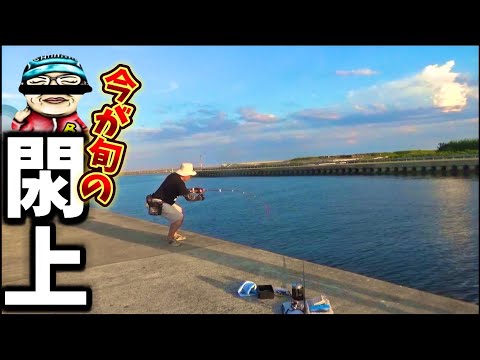 【宮城釣り】真夏のDAYでも釣れる閖上漁港は今が旬！！