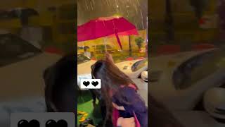 Download lagu Kim Sharma video#shorts #kimsharma mp3