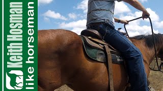 6 Rein-Handling Tips in 6 Minutes (SNAFFLE BITS ONLY)