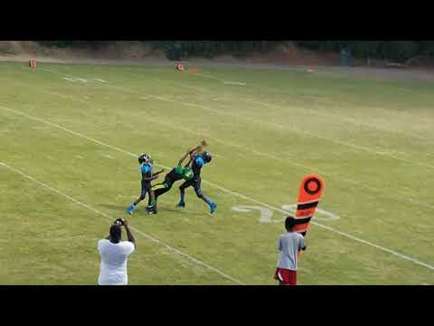 Hapeville Hornets 9U VS Welcome All Panthers Blue 32-0