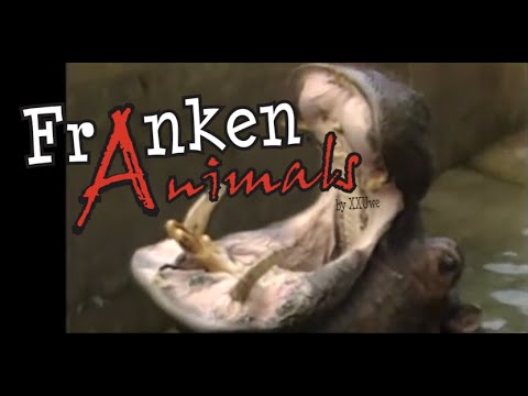 XXUwe - Franken Animals 33