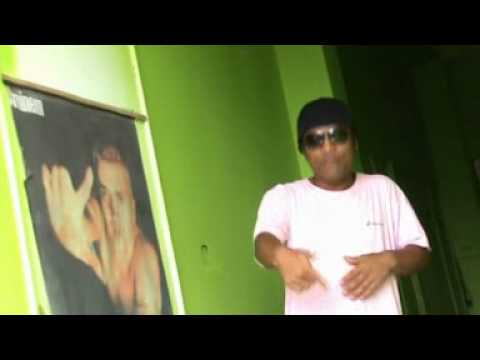 Gfame - Maraland rose