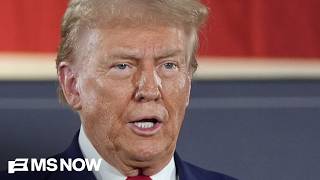 ‘Republicans are sick of this’: Trump’s tariffs face rare GOP rebuke as midterm polling tanks