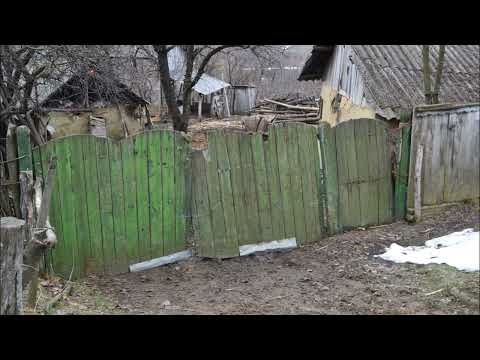 Emil Racoviță,Comuna Dănești, județul Vaslui, martie 2013