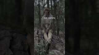 Download lagu STORY WA SAD.. mp3