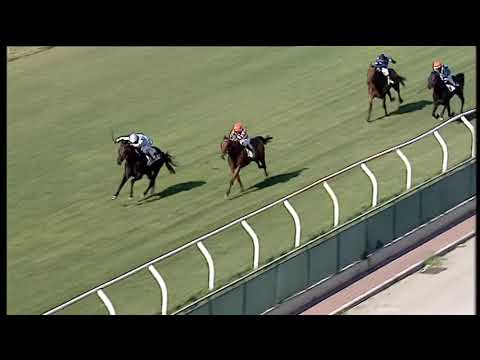 Galoppo 18/07/2020 - 1ª corsa