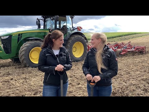 Bodenbearbeitung nach Getreide 2020