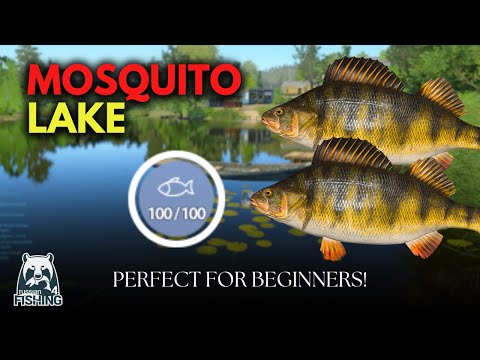 Perch Madness! 100 Fish in Mosquito Lake | Russian Fishing 4