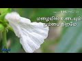 Pachai Nirame White Color Cut