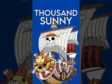 The INSIDE of the Thousand Sunny is shocking