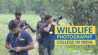 Learn Wildlife Photography Course from Wildlife Photography College in India | Creative Hut