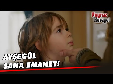 Poyraz, Sinan'ı Görevlendirdi! - Poyraz Karayel Özel Klip