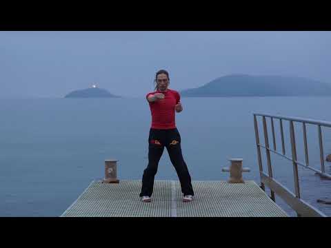 Sifu Davide Laringi - Biu Tze form