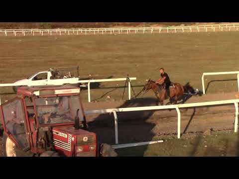 palio urzulei corsa alla stella    10.08.2019