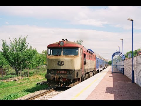 Archiv Video 8 - 1997/19