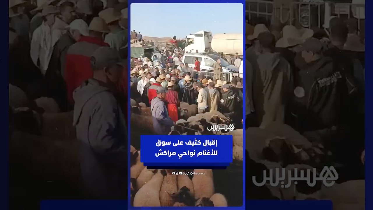 إقبال كثيف على سوق للأغنام نواحي مراكش منذ الساعات الأولى من الصباح thumbnail