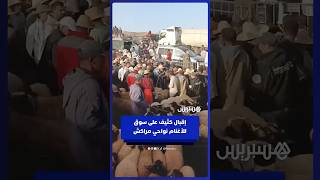 إقبال كثيف على سوق للأغنام نواحي مراكش منذ الساعات الأولى من الصباح thumbnail