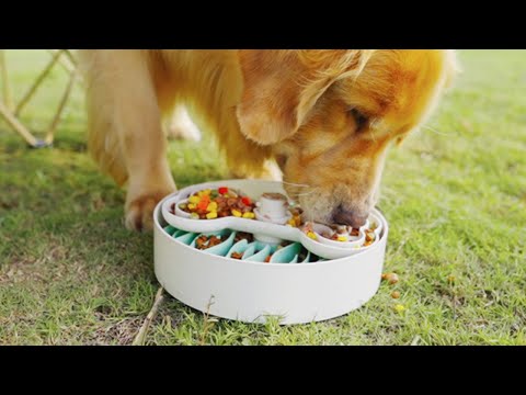 PUZZLE FEEDER - A Eating Habit Changing Device for Your Dog Review