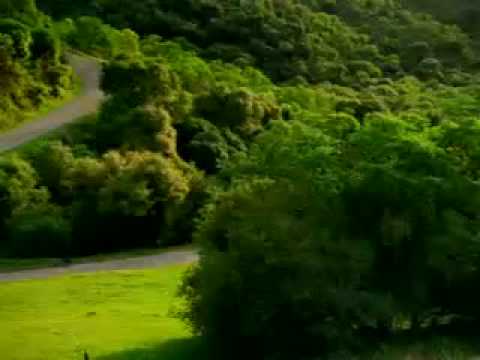 la vidéo qui fait peur!