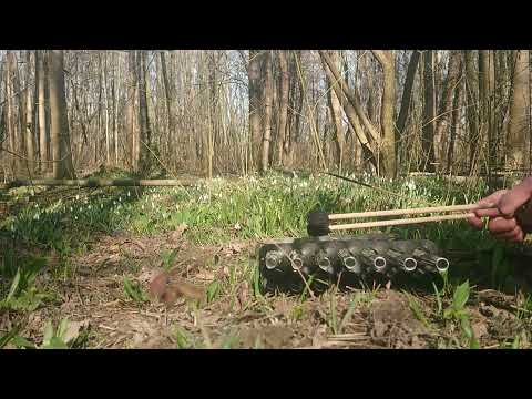 Hulam Compact C major / a minor improvisation in forest.