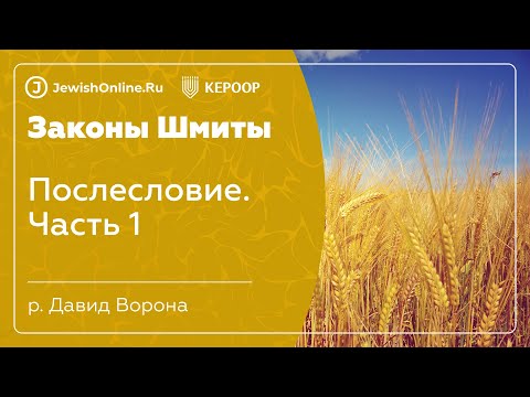 Законы шмиты. Урок 30. Послесловие
