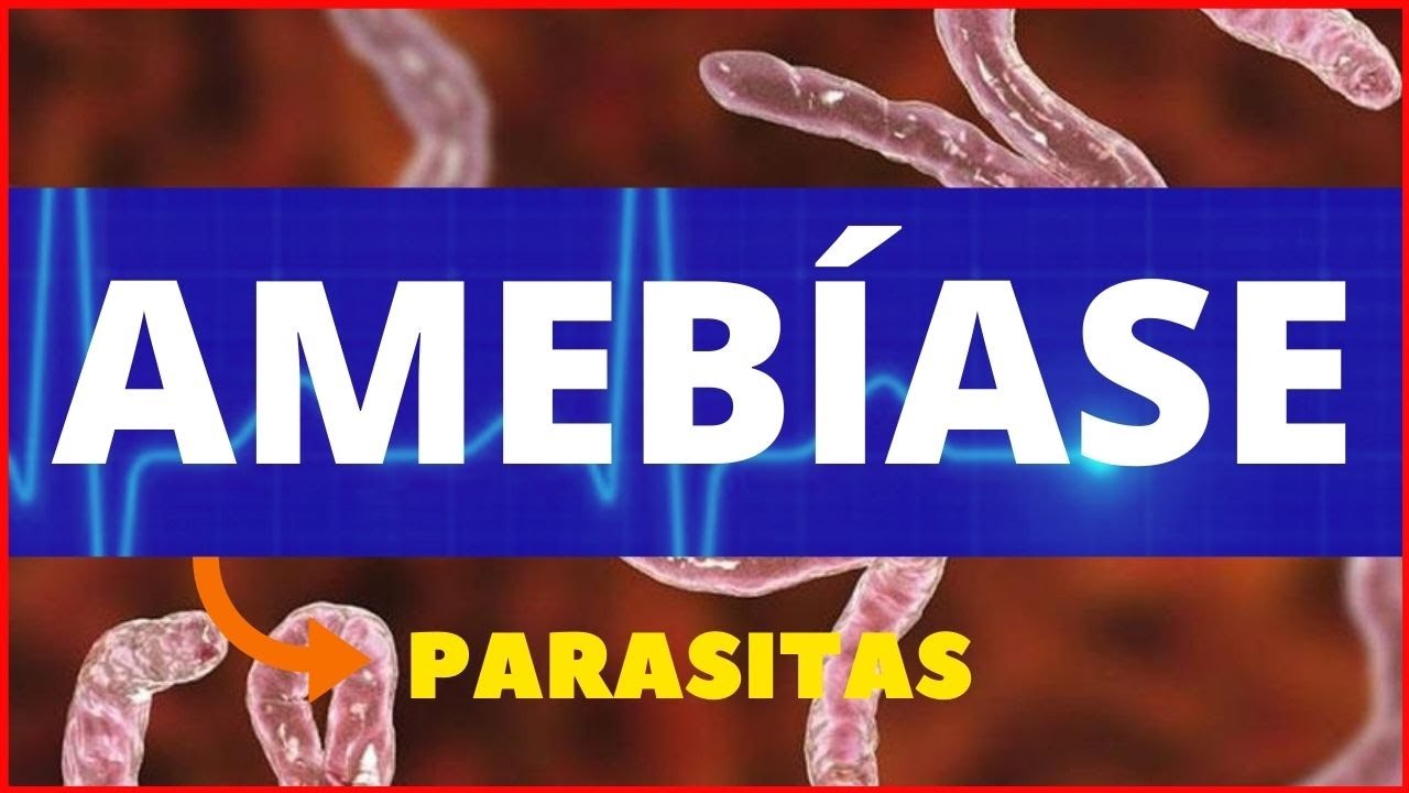 AMEBÍASE - ENTAMOEBA HISTOLYTICA - PARASITOLOGIA| INFECTOLOGIA