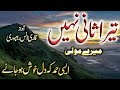 Mere Maula Tera Saani Nahi Sare Zamane Mein New Hamd Best Hamd Anas Qasim Rampuri