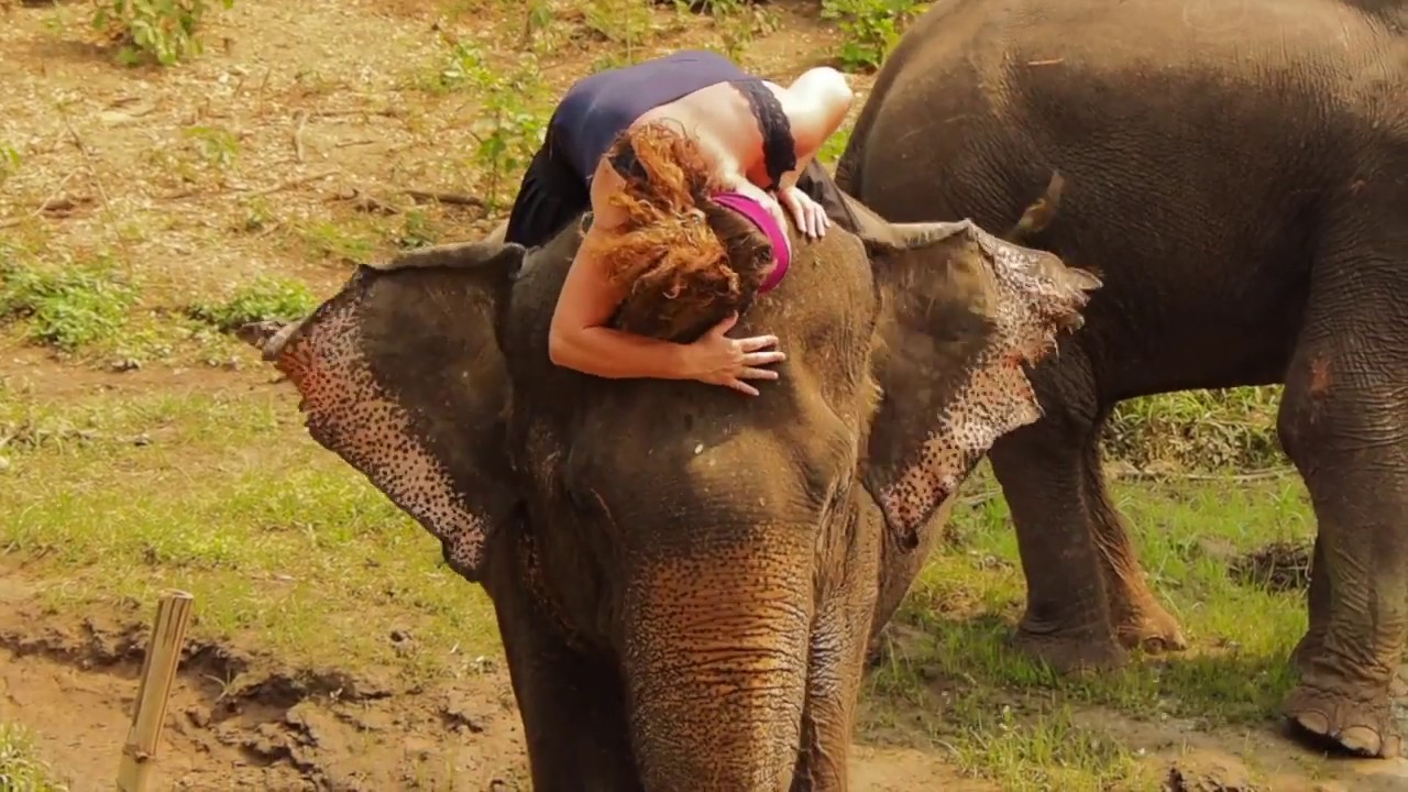 YogAnimal® retreat, yoga and animal wisdom
