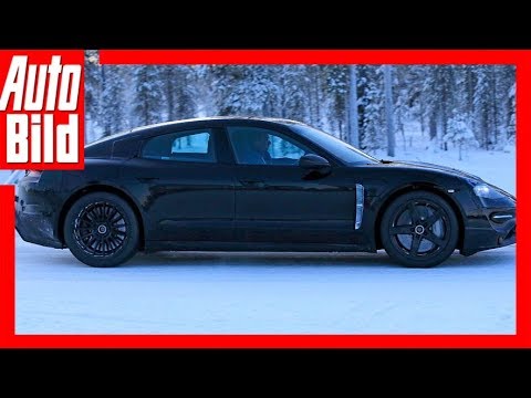 Porsche Mission E Erlkönig (2019) Details/Erklärung