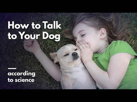 YouTube video about: How do you say hi in dog language?