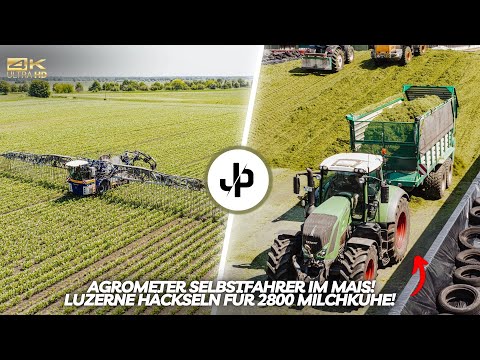 Alfalfa harvest 2025 and slurry piping in maize crops! || Documentary