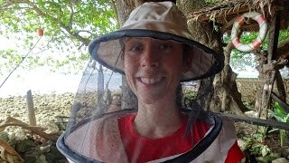 The Philippines! (Part 6 of 7) | December 2015 - More of Wonderful Camiguin!