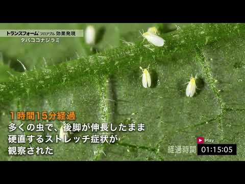 SGH09: 水生環境に対する危険性