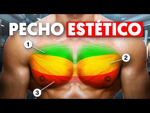 HOW TO DEVELOP AN AESTHETIC CHEST - Anatomy, Biomechanics, Exercises, Sets/Reps