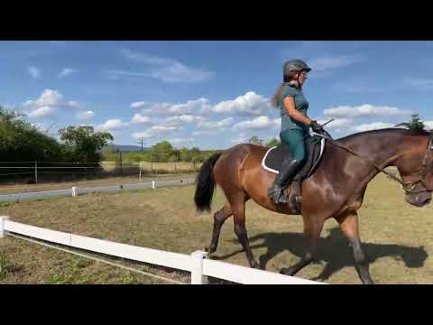 DOT Juli 2022/00663 DA1 Doris mit Puppi