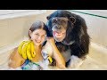 BUBBLE BATH with VALI the CHIMP !