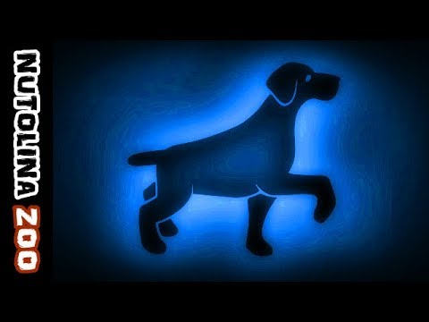 download lagu mp3 mp4 Honden Geluiden, download lagu Honden Geluiden gratis, unduh video klip Honden Geluiden