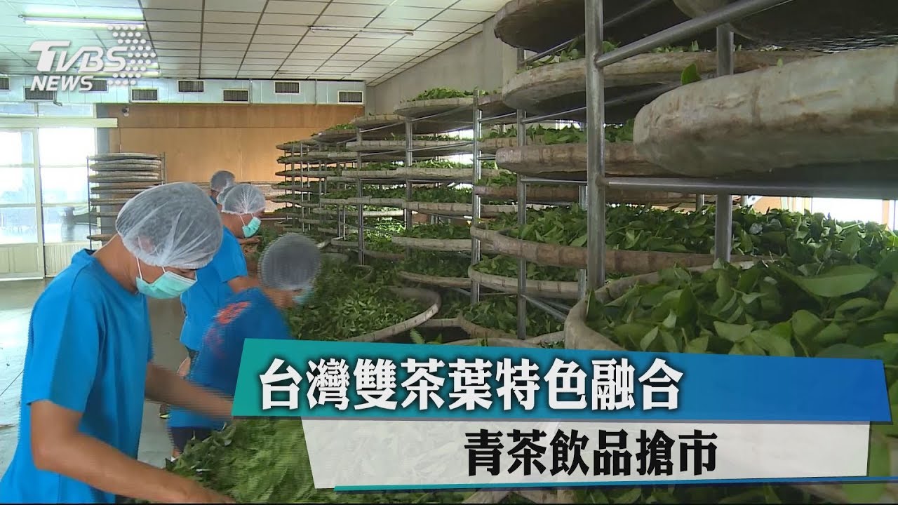 台灣雙茶葉特色融合　青茶飲品搶市