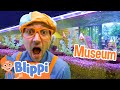 Blippi Visits Seattle S Children S Museum Educational Videos For Kids Blippi Toys