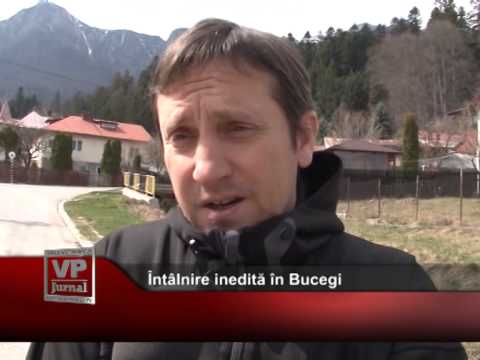 Întâlnire inedită în Bucegi