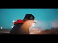 SPINCITY CHRIS - SOMEWAY SOMEHOW (OFFICIAL MUSIC VIDEO)