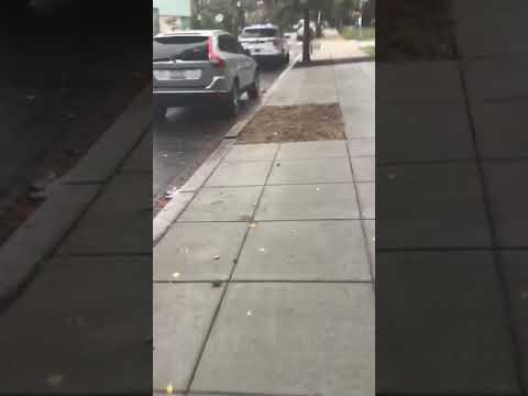 MPD 3071 and a second one followed and Vehicle 1319 by InDaCarSeat DaTGuY Terry Dwayne Ashford