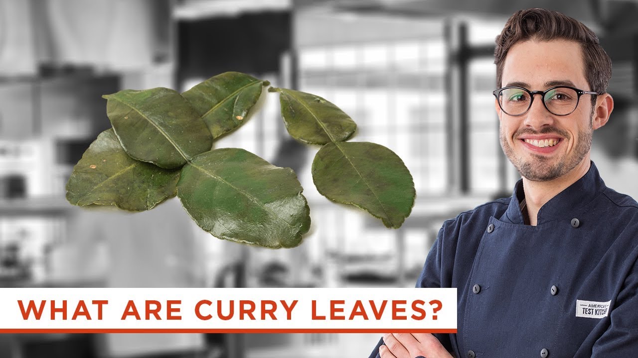 Why Should You Cook with Fresh Curry Leaves? - YouTube